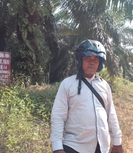 Kotawaringin Lama, PT Agrinas Panen Sawit di Lokasi Diduga Kawasan Potensi Desa Transmigrasi Tanpa Plang Informasi