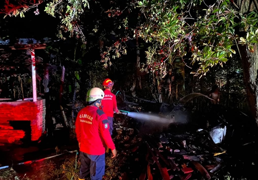 Dua Kebakaran Kandang Terjadi Beruntun di Tulungagung, Ribuan Ayam Mati Terbakar