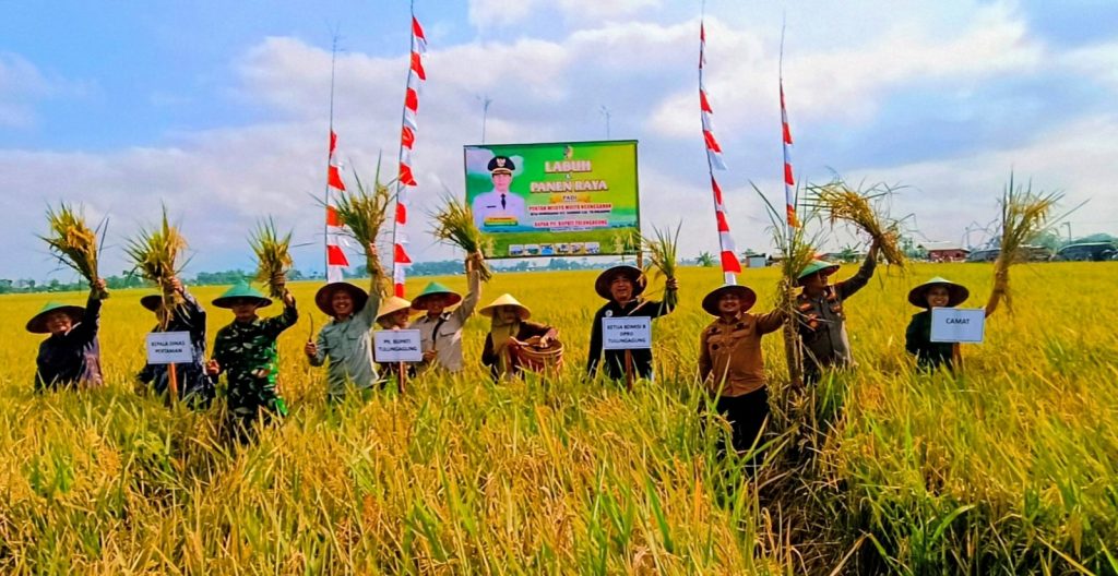 Plt Bupati: Tulungagung Berhasil Wujudkan Swasembada Pangan