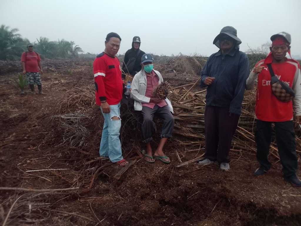 Sengketa Lahan Sungai Linggis Memanas, Kebun Warga Diduga Dirusak dan Ditanami Sawit Baru
